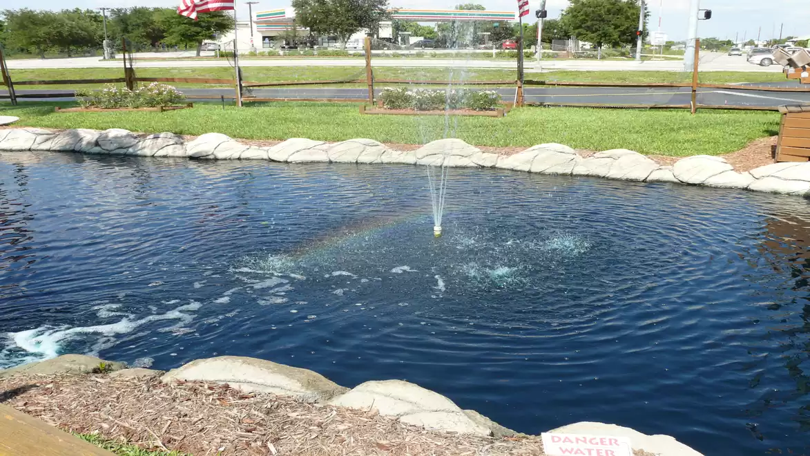 A calm pond with a fountain spraying water in the center, surrounded by stones and green grass. A rainbow is visible above the water.