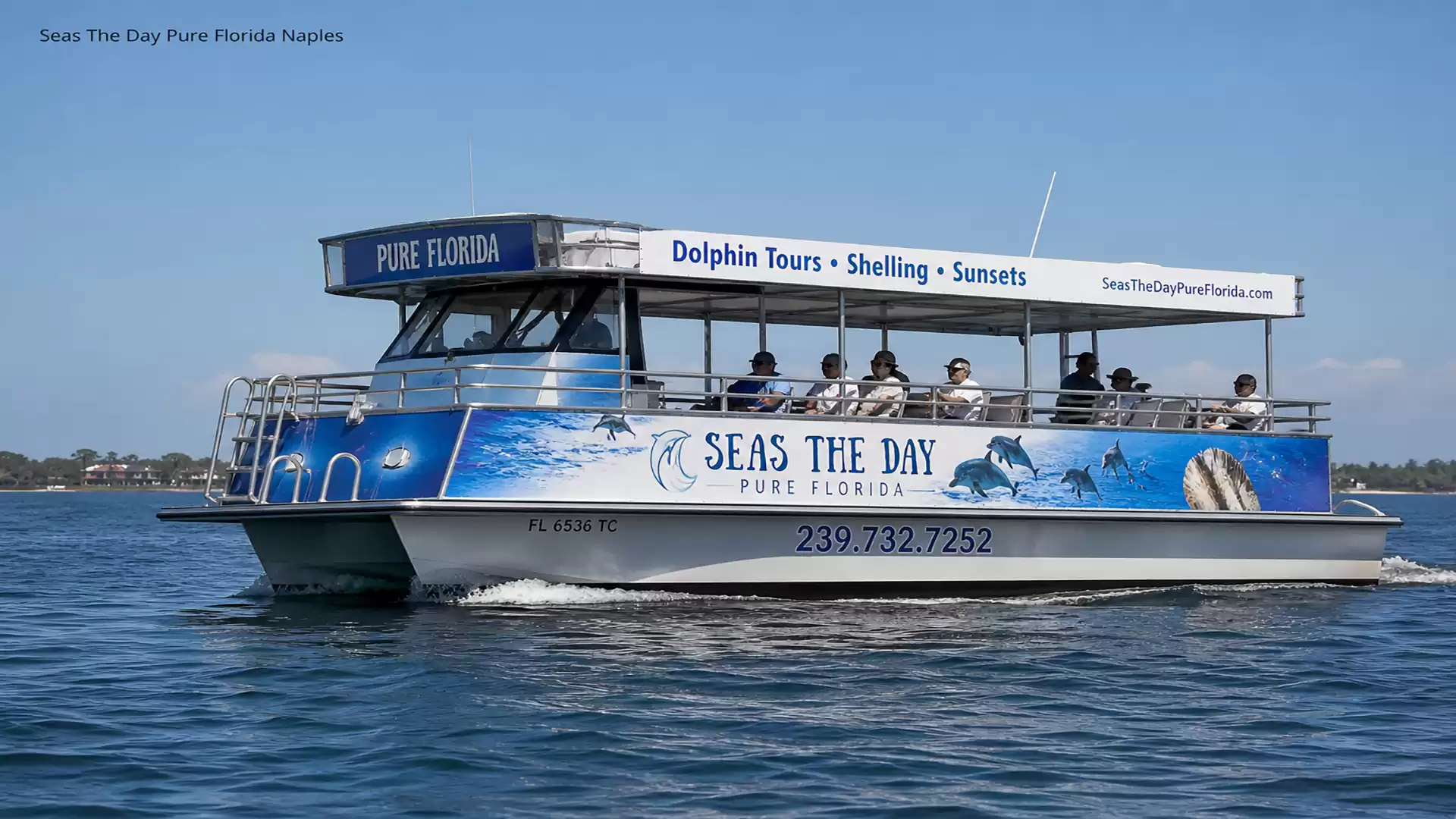 A tourist boat on the water with the text 'Seas The Day Pure Florida', offering dolphin tours, shelling, and sunsets.