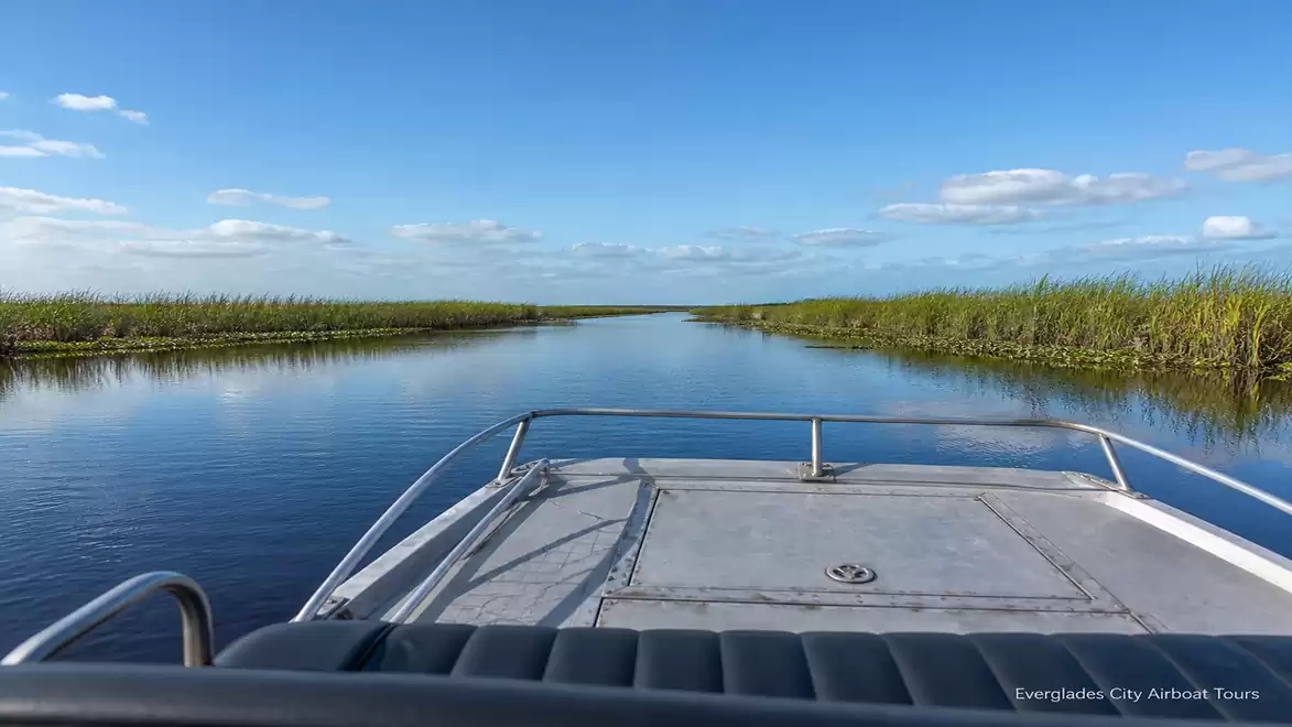 View from an airboat over a calm river in the Everglades with a blue sky and reeds along the banks.