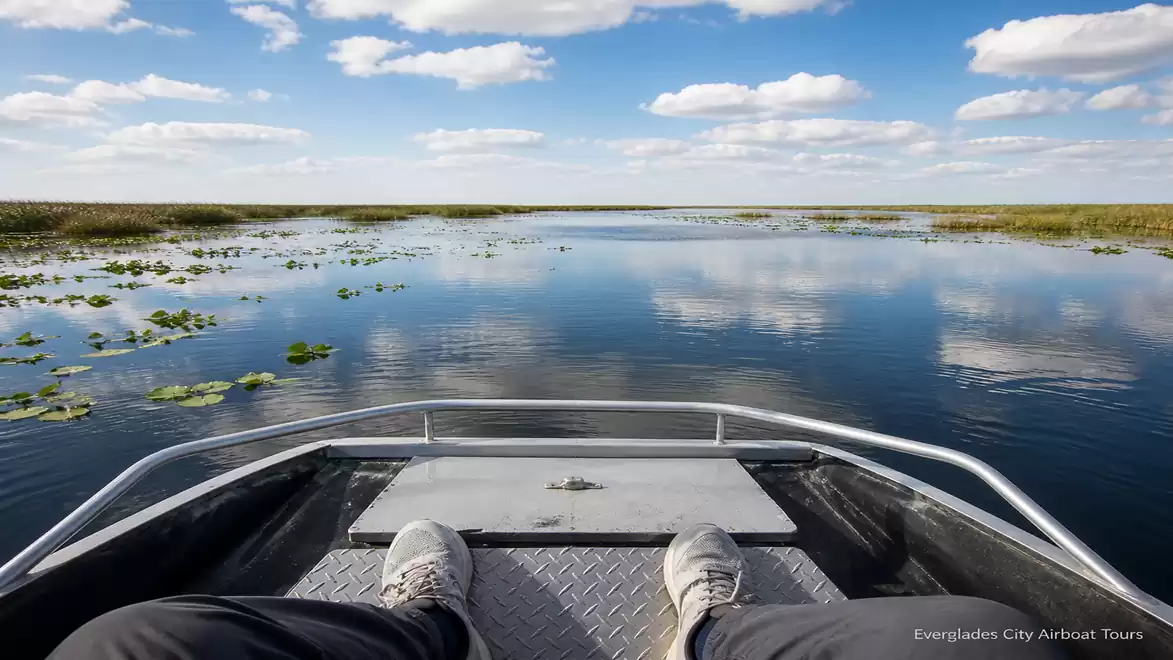 View from an airboat over the vast, water-covered Everglades, surrounded by blue sky with a few clouds.