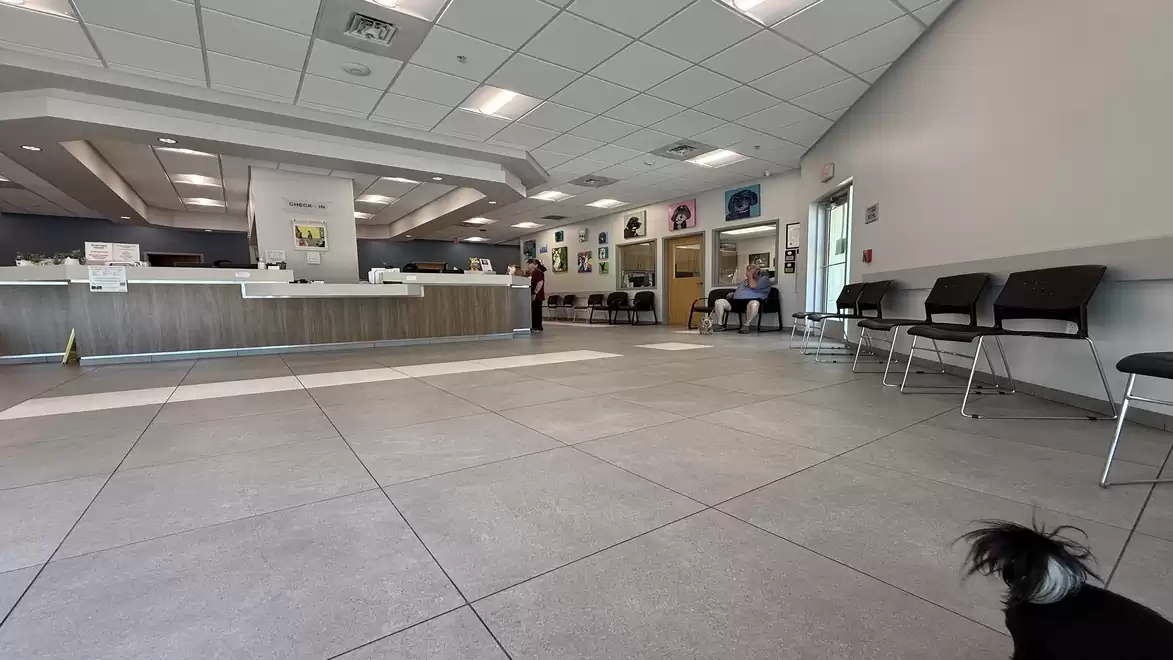 Interior view of a modern waiting room with seating and a reception desk.