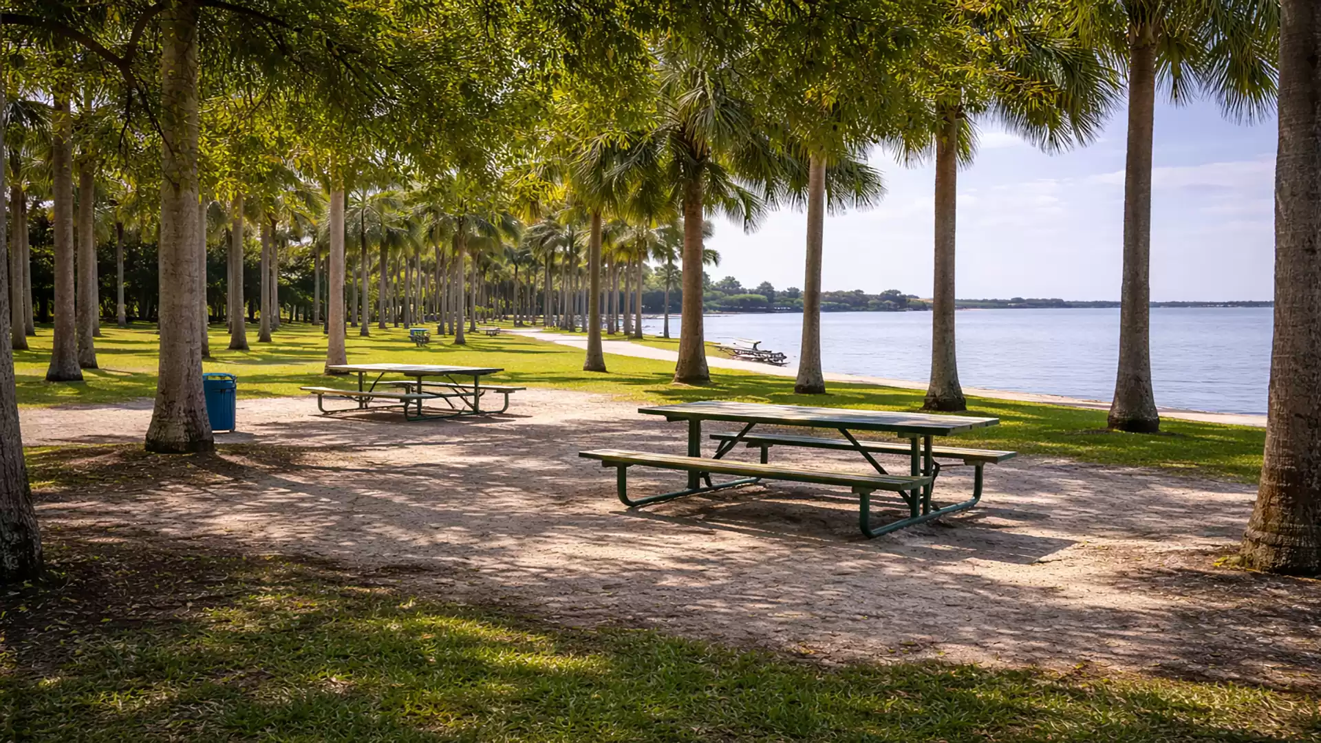 A sunny park with picnic tables beneath palm trees by the shore of a calm lake.