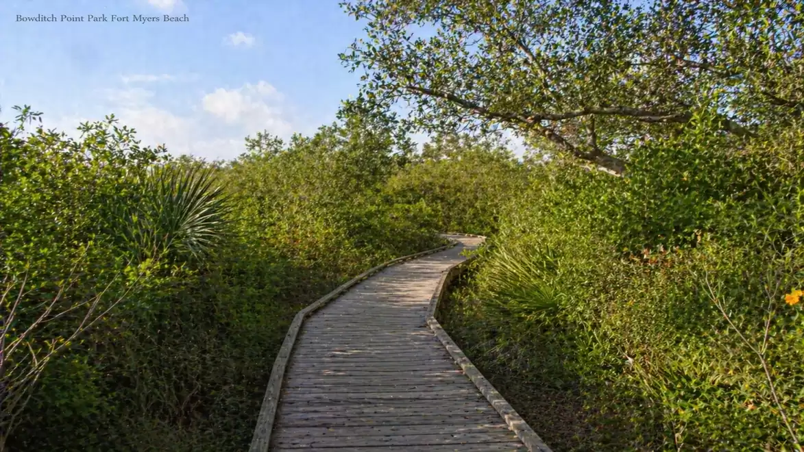A wooden boardwalk leads through lush, green vegetation in a nature park on a sunny day.