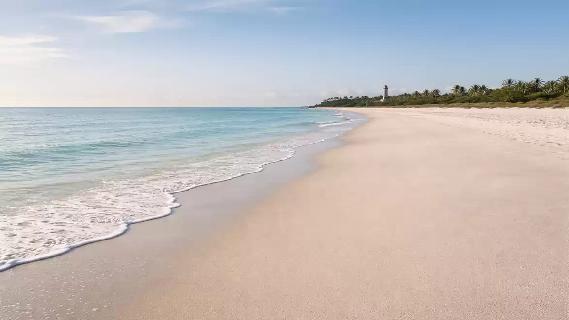 A serene sandy beach with gentle waves and a clear blue sky. Dense vegetation is visible on the horizon.