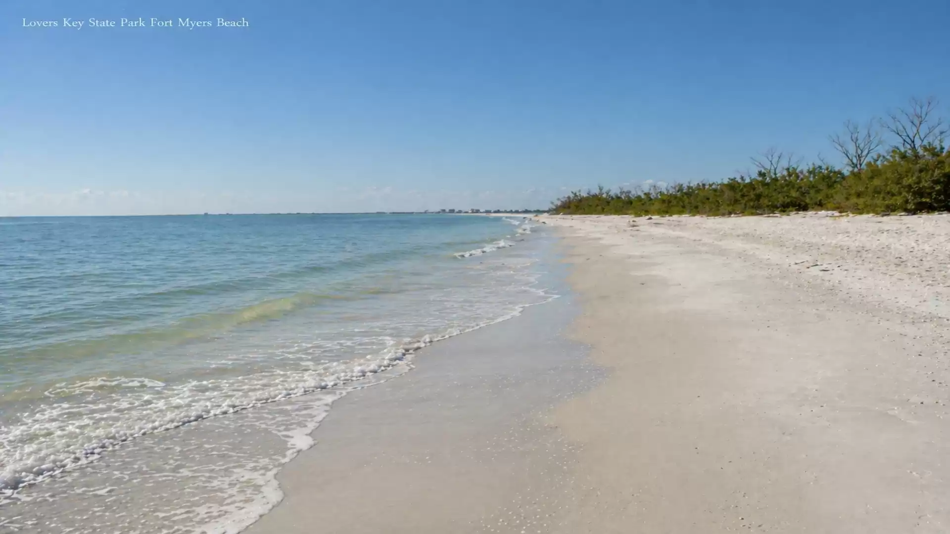 A wide, empty sandy beach with a clear blue sky and calm, wavy sea on a sunny day. The beach is lined with green vegetation in the background.