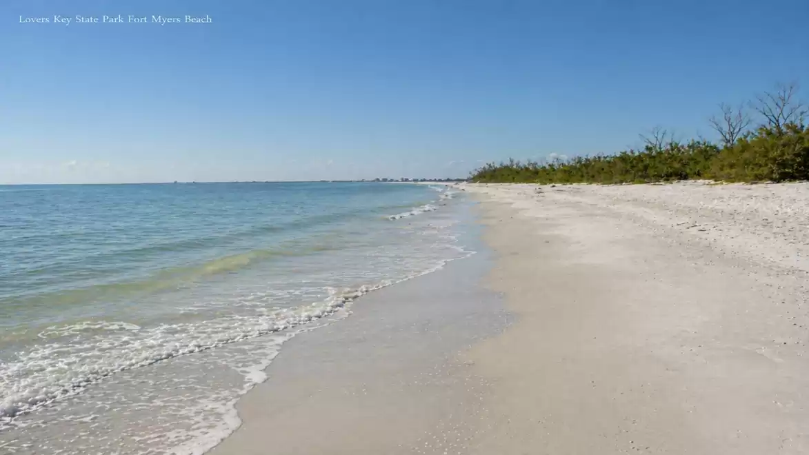 A wide, empty sandy beach with a clear blue sky and calm, wavy sea on a sunny day. The beach is lined with green vegetation in the background.