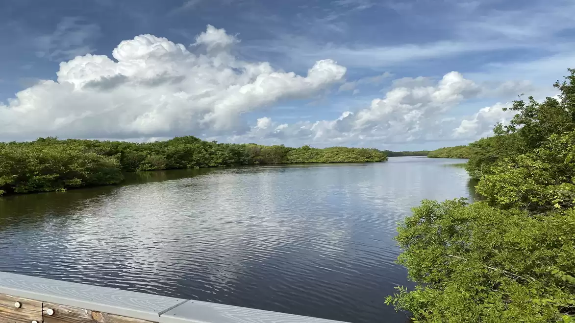 A calm river surrounded by lush greenery under a bright blue sky with white clouds.