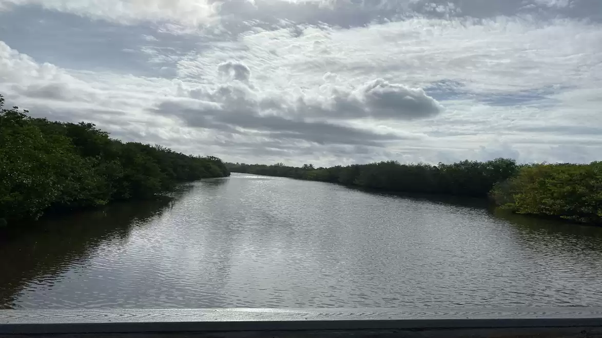 A calm river surrounded by lush vegetation under a cloudy sky.