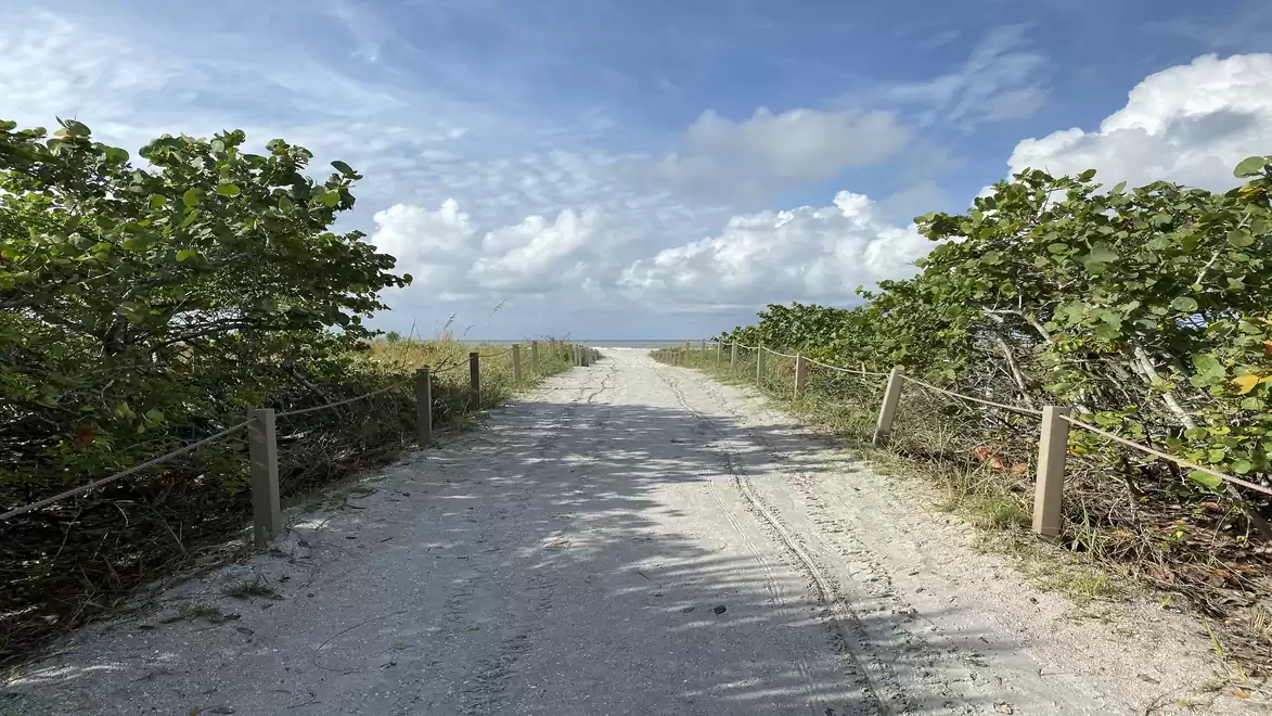 A sandy path leads through green bushes and ends at a vast ocean under a blue sky.