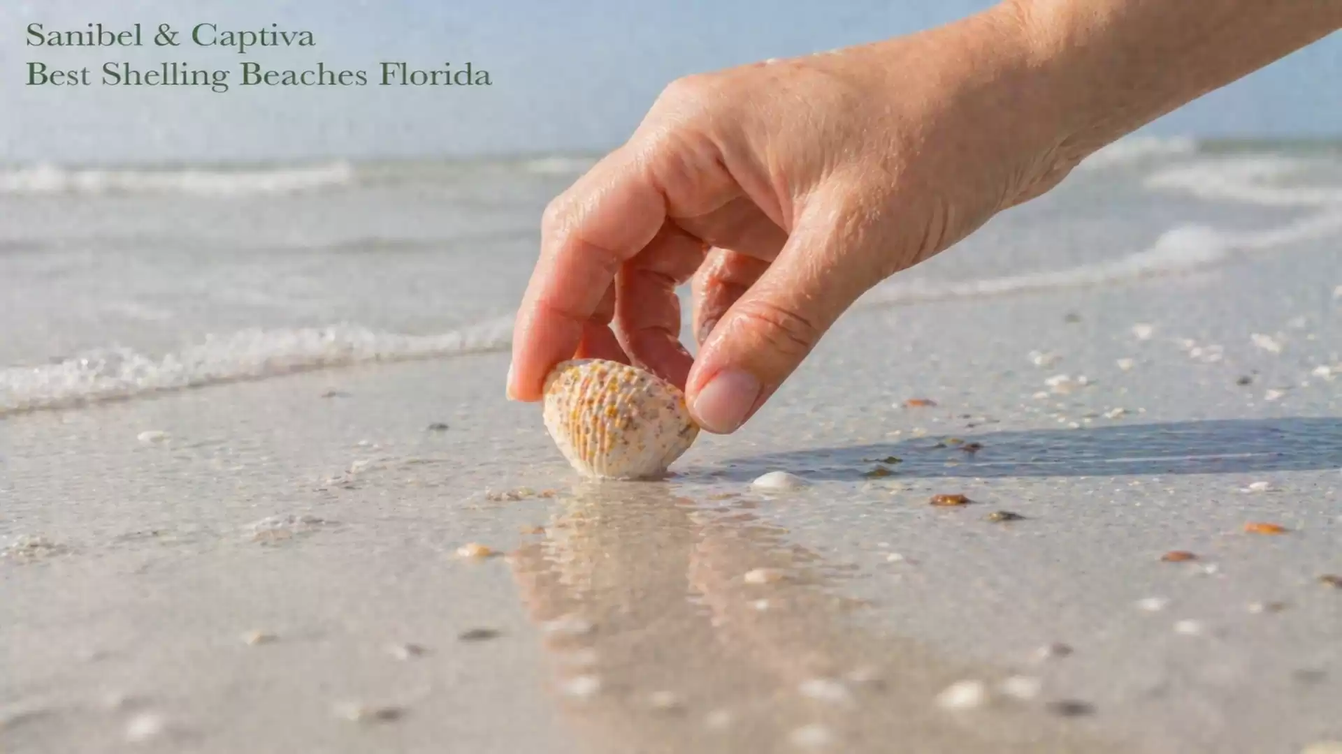 Close-up of a hand picking up a shell on the beach of Sanibel and Captiva in Florida, with gentle waves in the background.