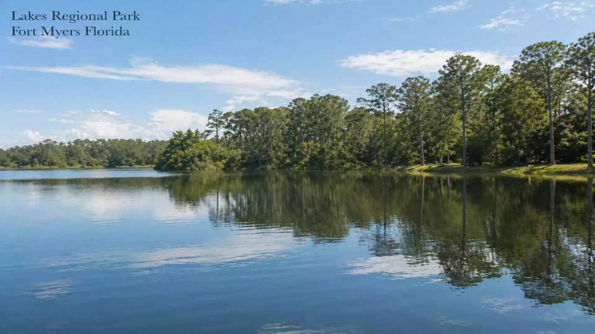 View of a tranquil lake at Lakes Regional Park in Fort Myers, Florida, surrounded by lush trees and blue sky.