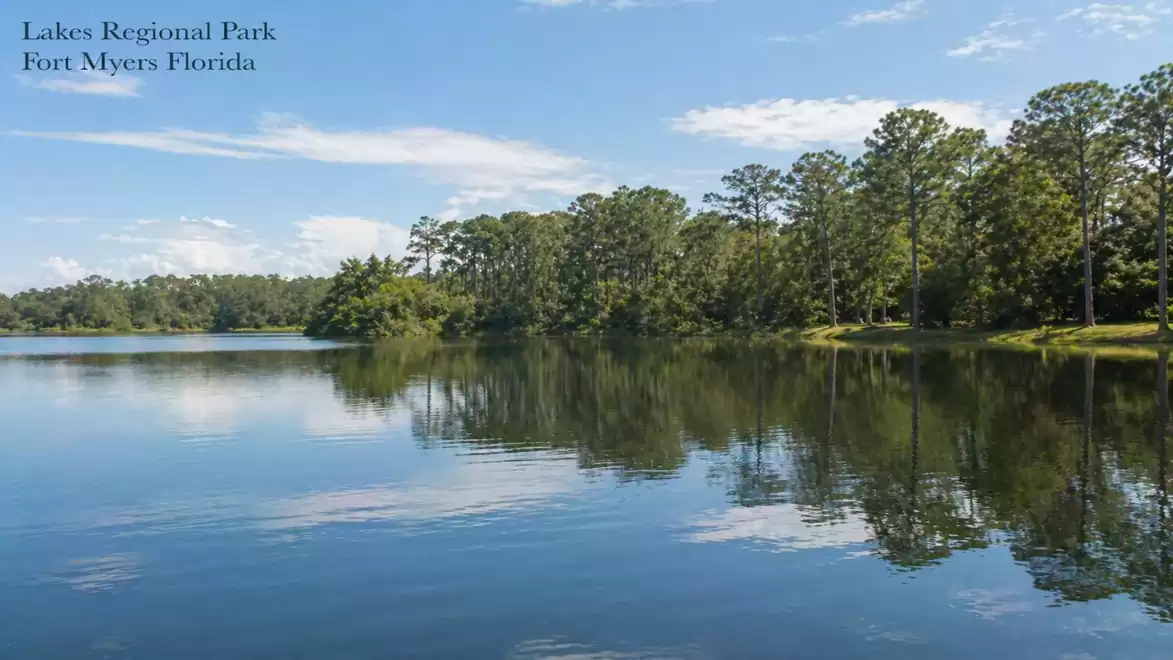 View of a tranquil lake at Lakes Regional Park in Fort Myers, Florida, surrounded by lush trees and blue sky.