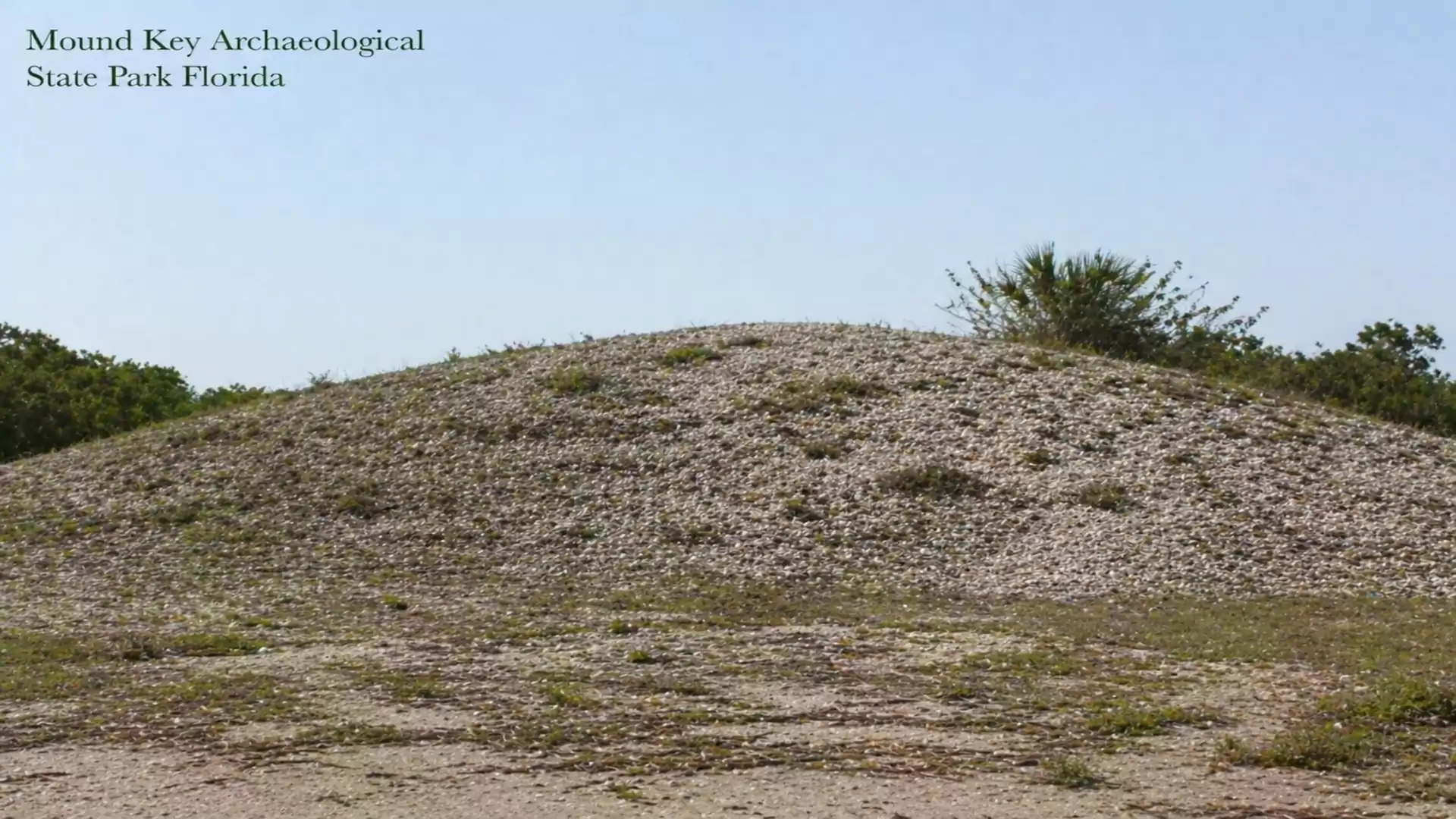 A large, grassy mound in Mound Key Archaeological State Park in Florida, surrounded by trees under a blue sky.
