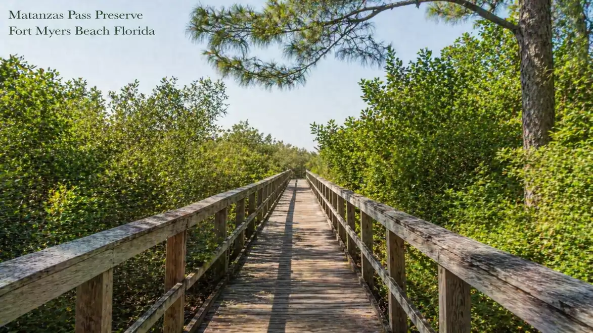 Wooden boardwalk in Matanzas Pass Preserve, surrounded by lush greenery in Fort Myers Beach, Florida.