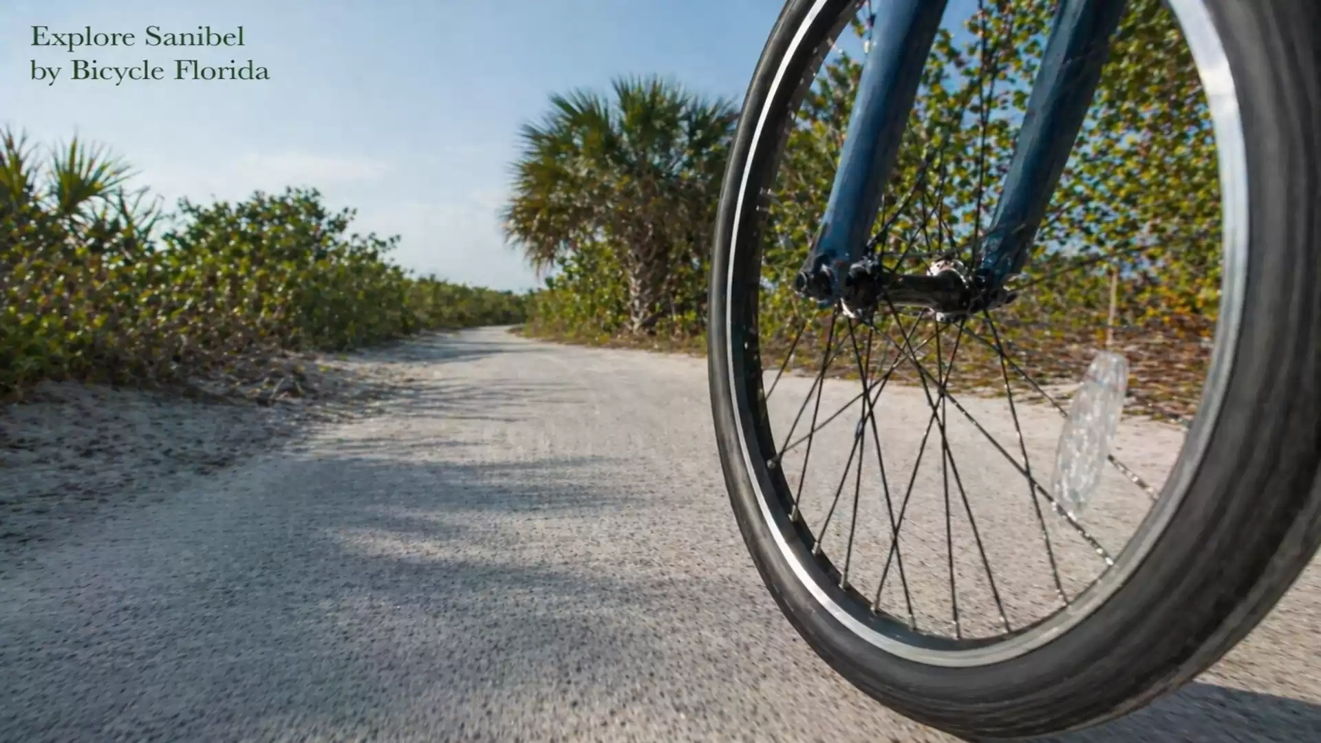Close-up of a bicycle on a sunny path surrounded by trees and bushes in Sanibel, Florida.