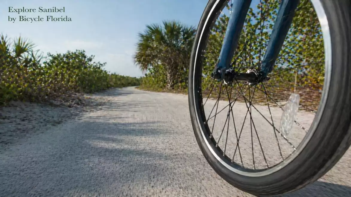 Close-up of a bicycle on a sunny path surrounded by trees and bushes in Sanibel, Florida.
