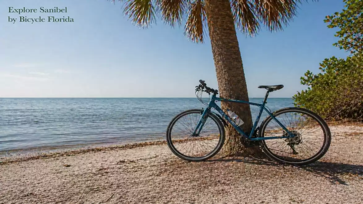 A bicycle leans against a palm tree on a Florida beach, overlooking the calm sea and blue sky.