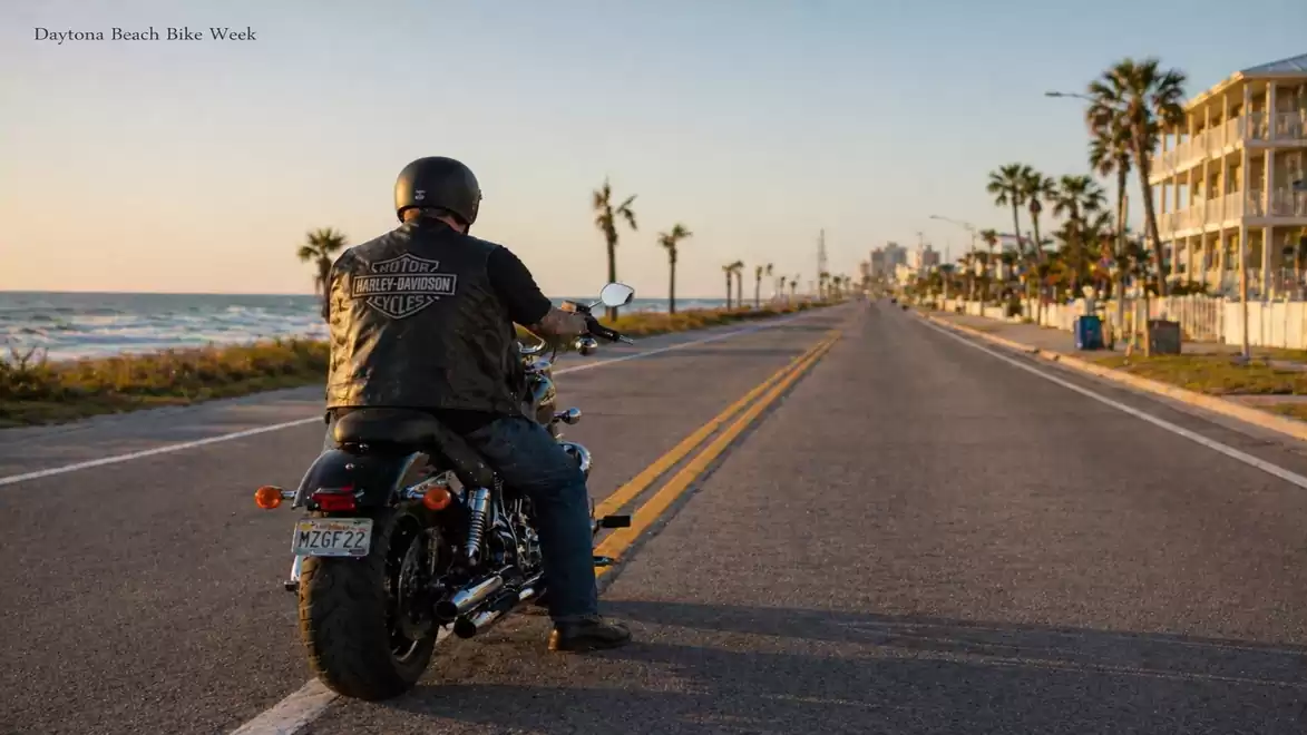 Motorcyclist rides towards the city on a coastal road at sunset, lined with palm trees and beach houses.