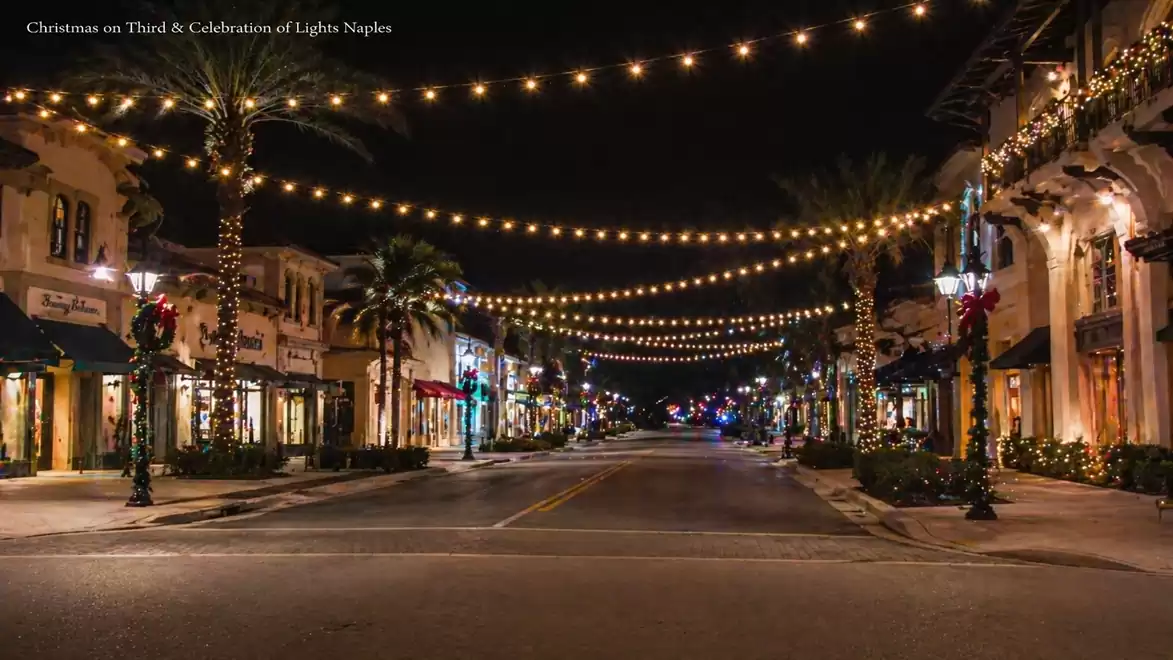 Festively decorated street in Naples with string lights and illuminated palm trees at night.