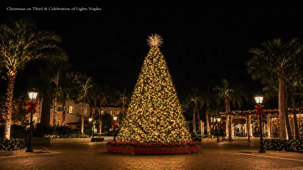 Image of a festively lit Christmas tree in a picturesque street setting at night.