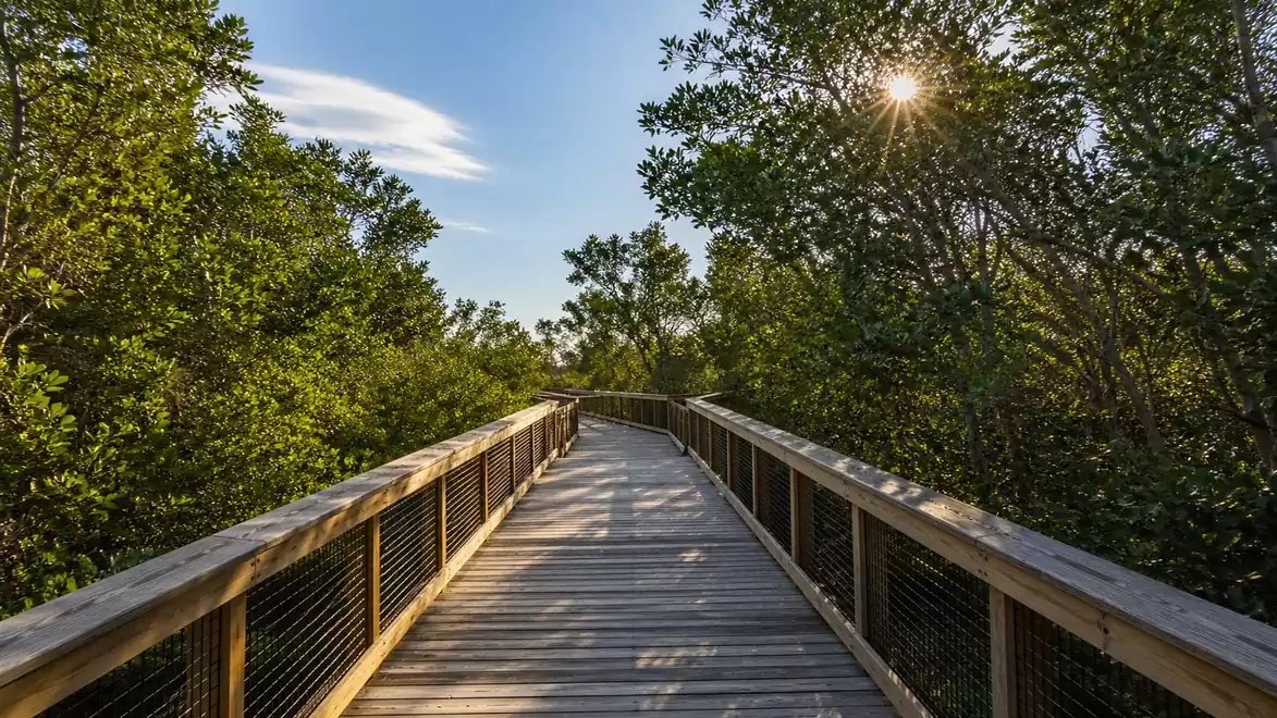 A wooden walkway leads through green trees with the sun shining above. The sky is clear and blue.