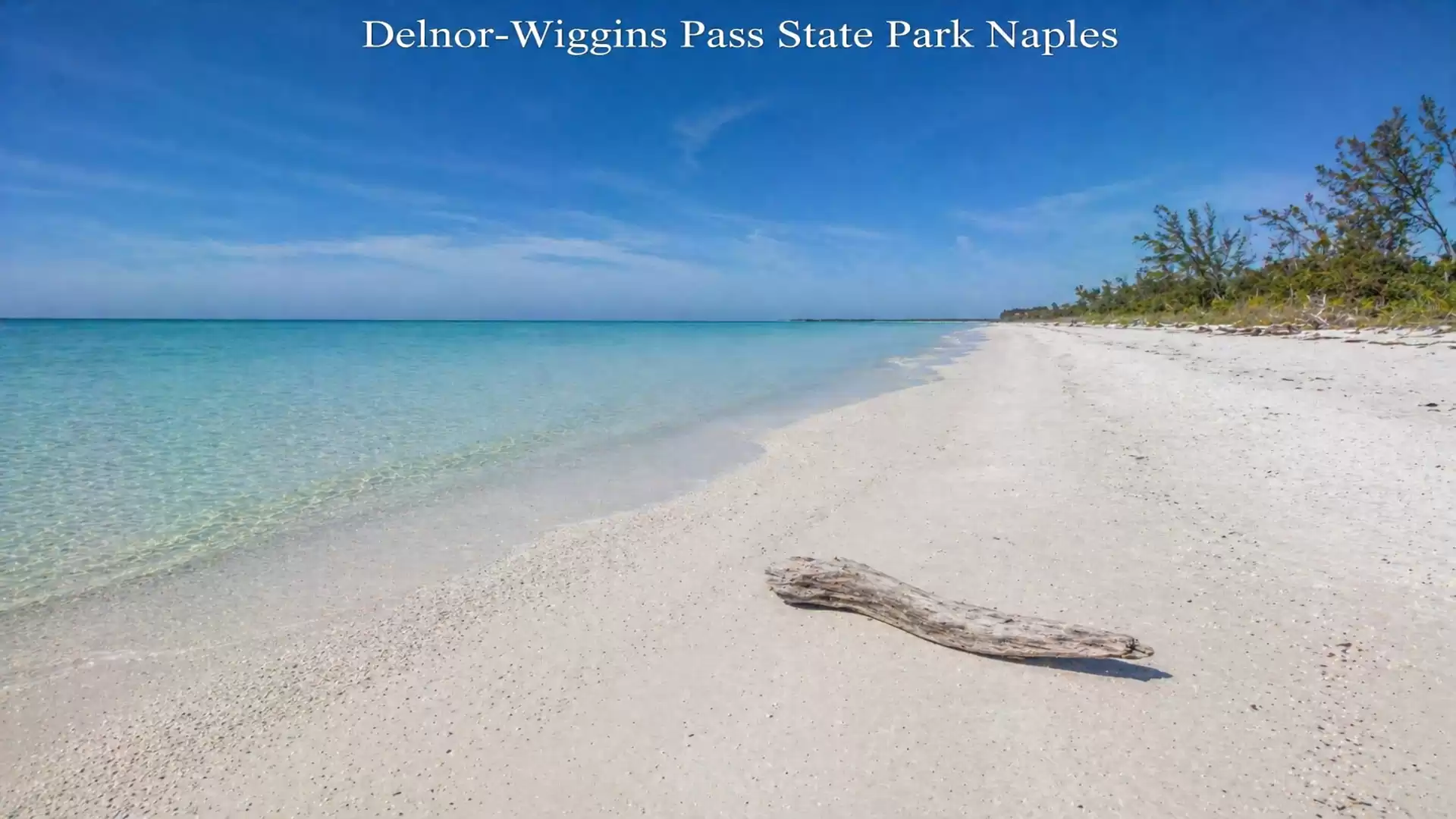 Beach at Delnor-Wiggins Pass State Park in Naples with turquoise water and a piece of driftwood in the sand.