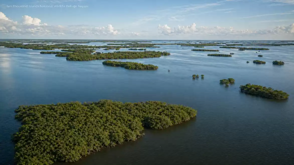Aerial view of a vast island group with lush vegetation in clear blue water under a cloudy sky.