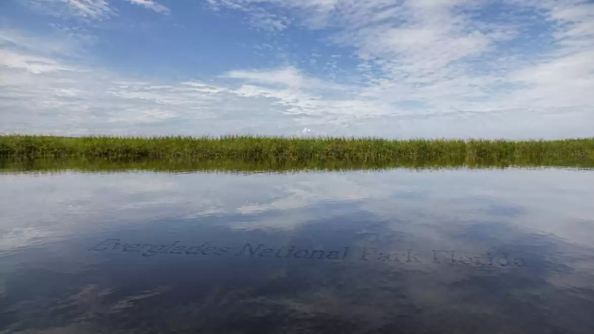 A calm river under a cloudy sky with a green shoreline in the distance.
