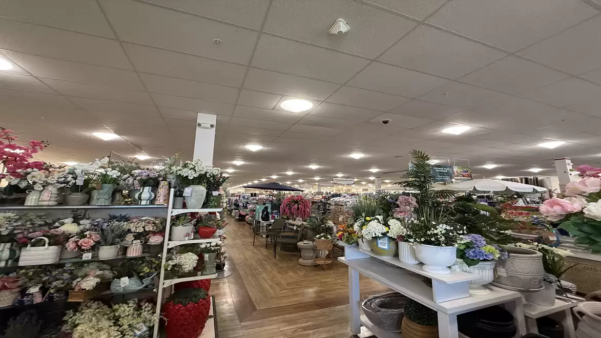 A spacious store with a wide selection of flowers and plants displayed on tables and shelves. The lighting is bright, and the floor is made of wooden parquet.