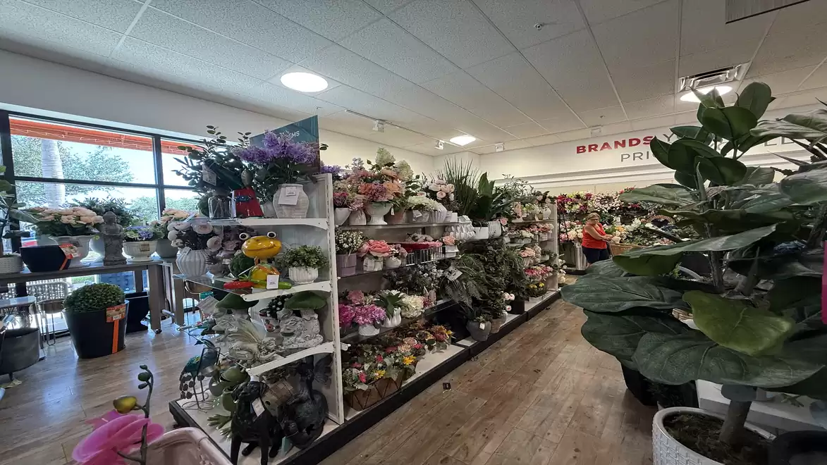 A flower shop with a variety of flowers and plants on shelves, illuminated by daylight through large windows.