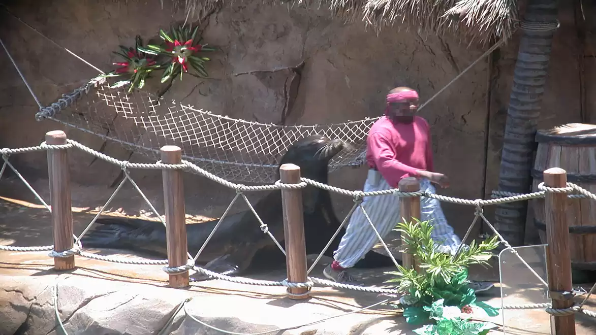 A scene in a tropical setting with a person in red clothing walking along a wooden pathway. A net is visible in the background, surrounded by plants.