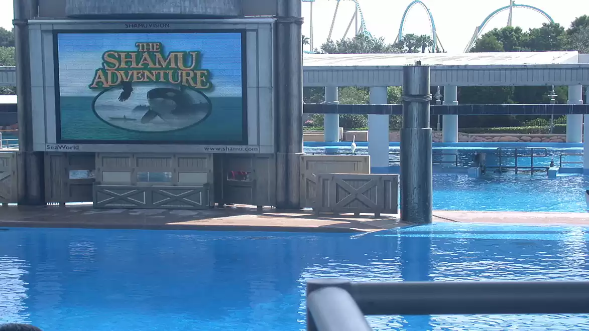 Stage area of a water park with a large screen for 'The Shamu Adventure' show and water pool in the foreground.
