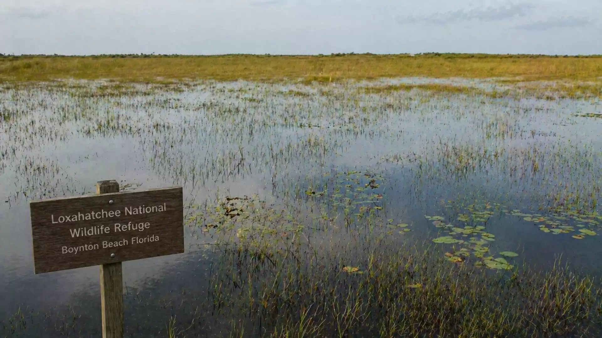 Vast marshland at Loxahatchee National Wildlife Refuge in Boynton Beach, Florida, with water-covered grass and a sign in the foreground.