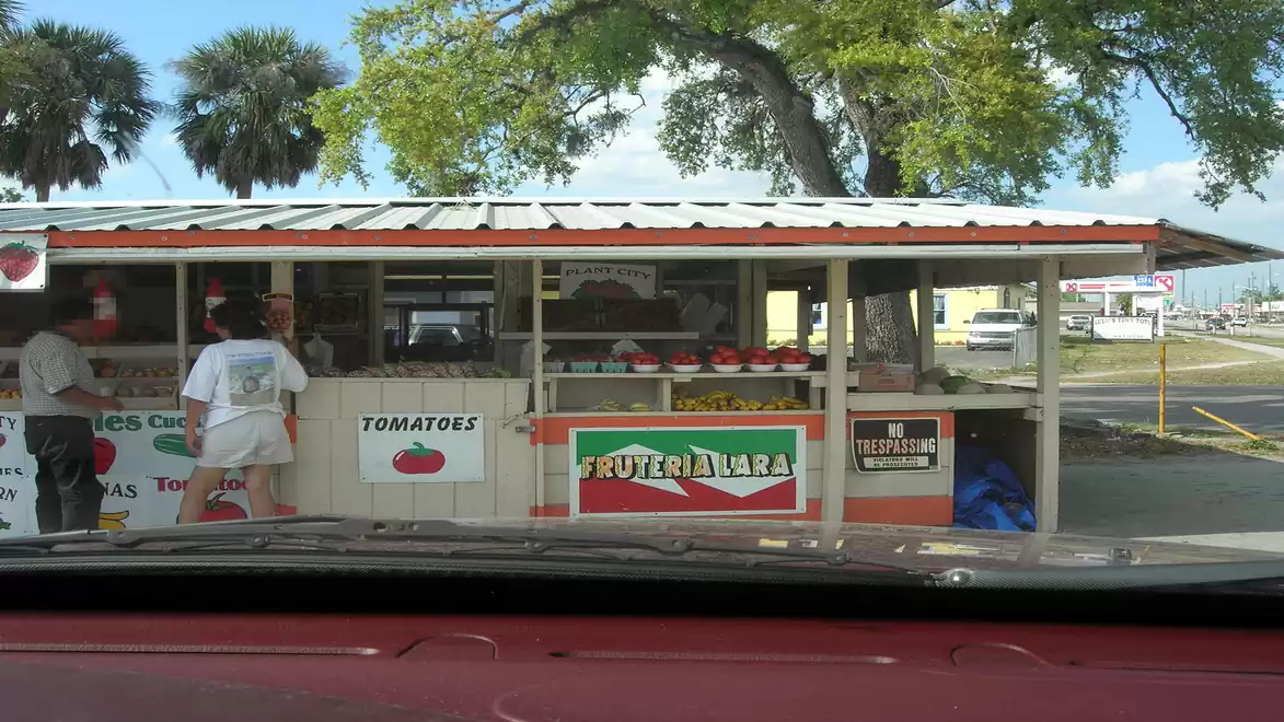 A roadside fruit and vegetable stall with a man and a woman standing at the counter. The stand, located under a tree, offers tomatoes and fresh fruit.