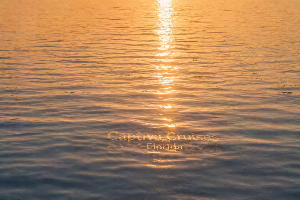 Sunset reflecting on calm water, creating a golden glow on the surface.