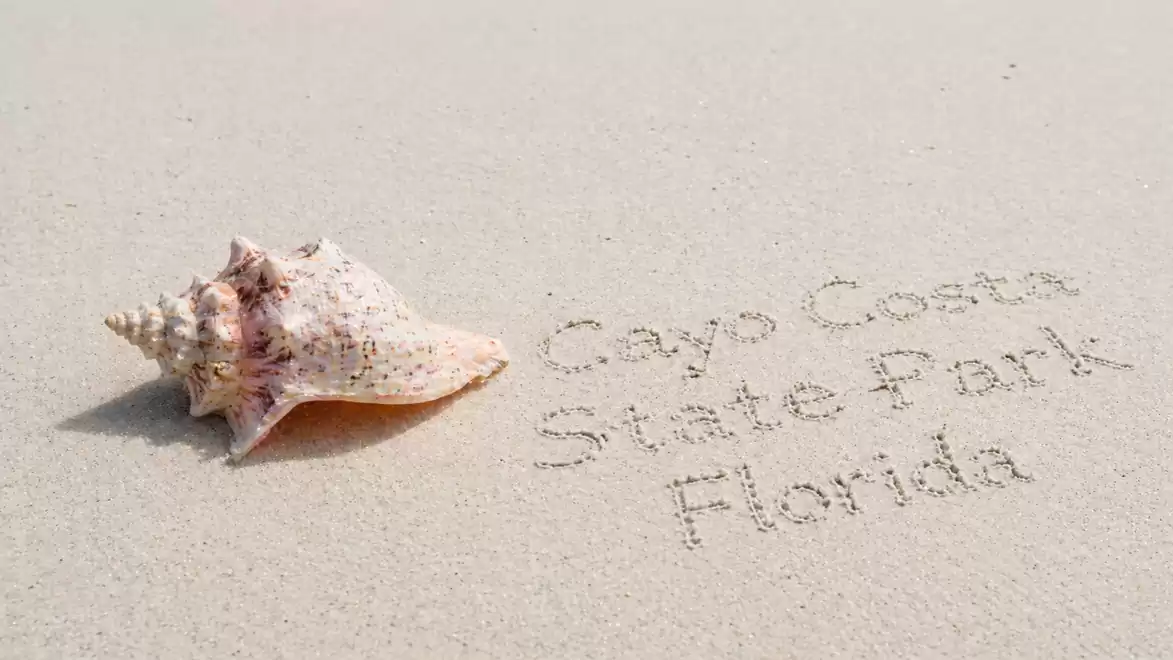 A shell on a sandy beach with the words 'Cayo Costa State Park Florida' written in the sand.