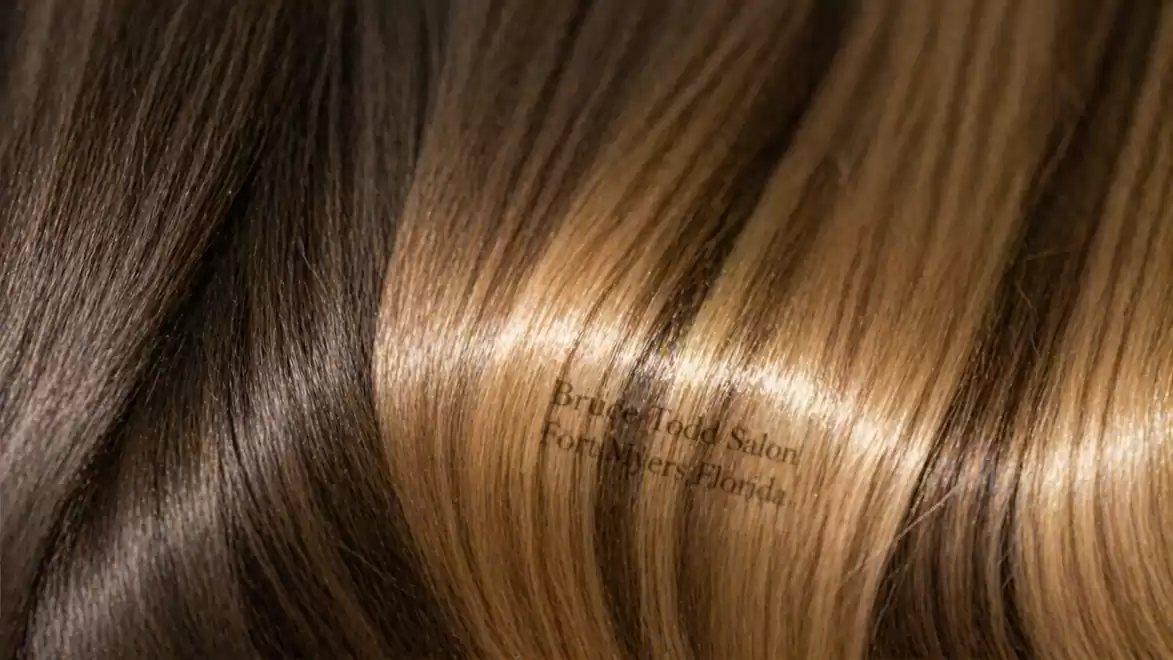 Close-up of shiny brown and blonde hair with gradient.