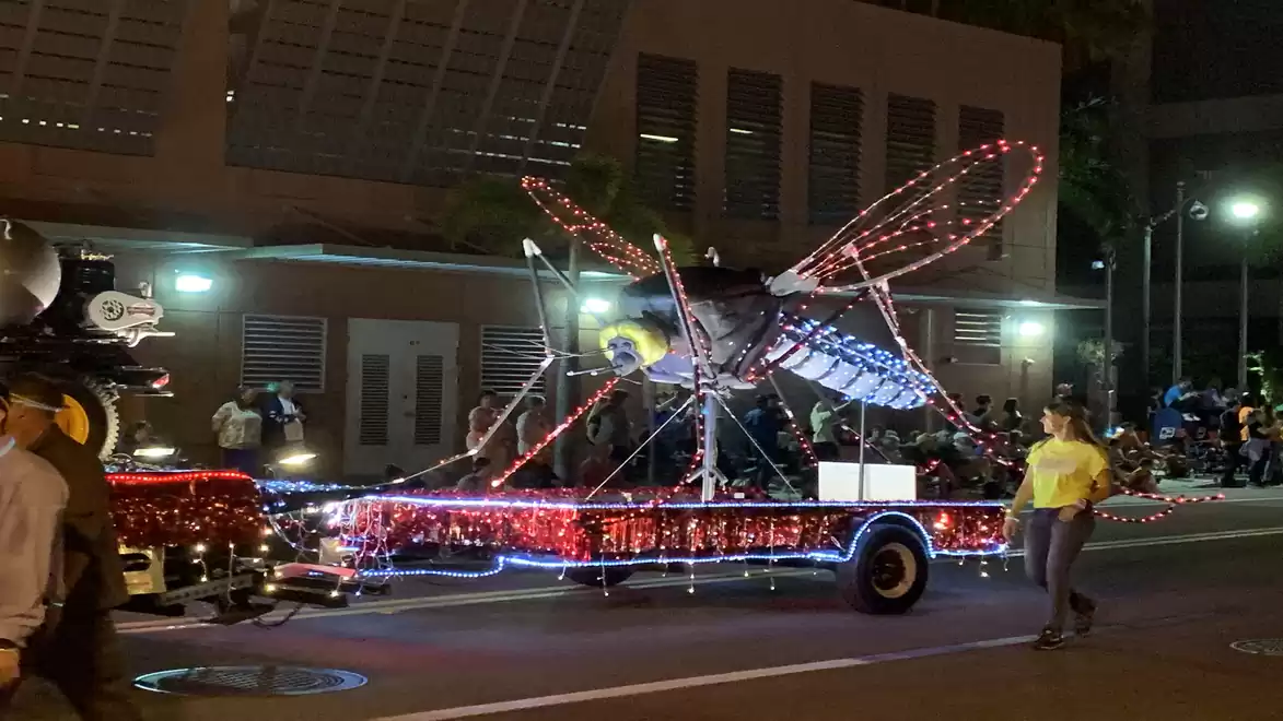 An illuminated float with a large dragonfly figure during a night parade.