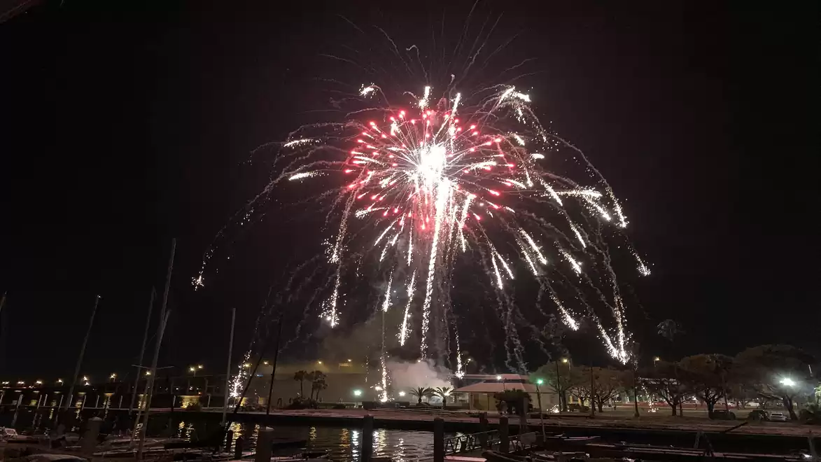 Nighttime fireworks over a harbor with boats and illuminated trees in the background.