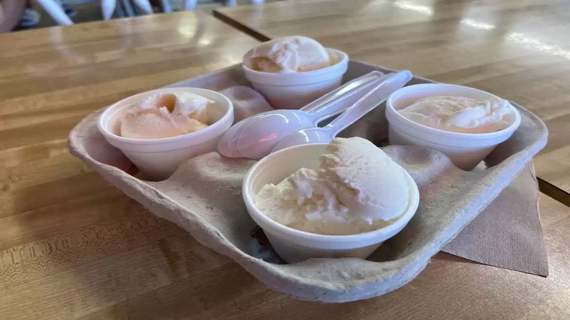 Four small cups of ice cream and two spoons in a cardboard holder on a wooden table.