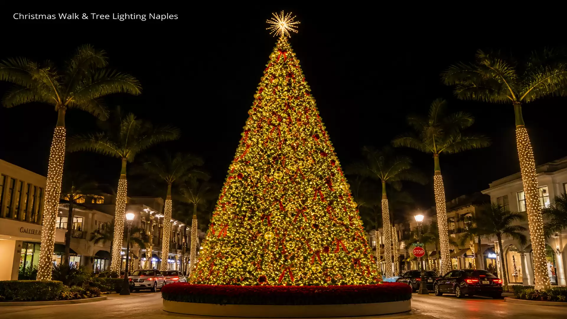 A large, festively lit Christmas tree stands in a city center, surrounded by illuminated palm trees and elegant buildings at night.