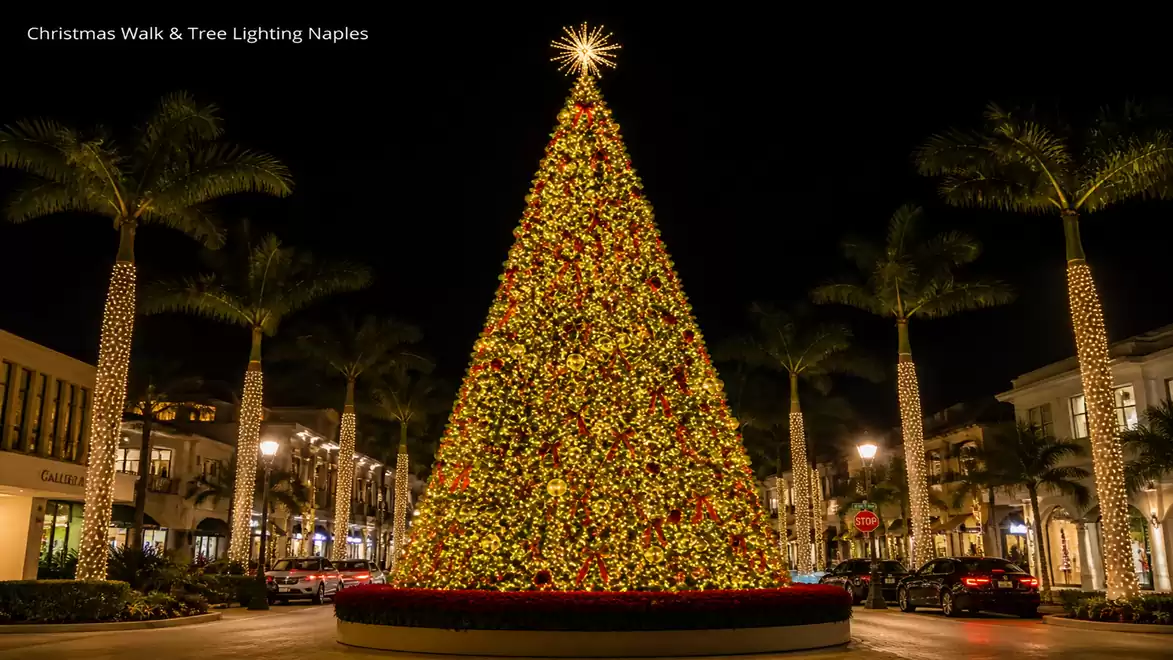 A large, festively lit Christmas tree stands in a city center, surrounded by illuminated palm trees and elegant buildings at night.