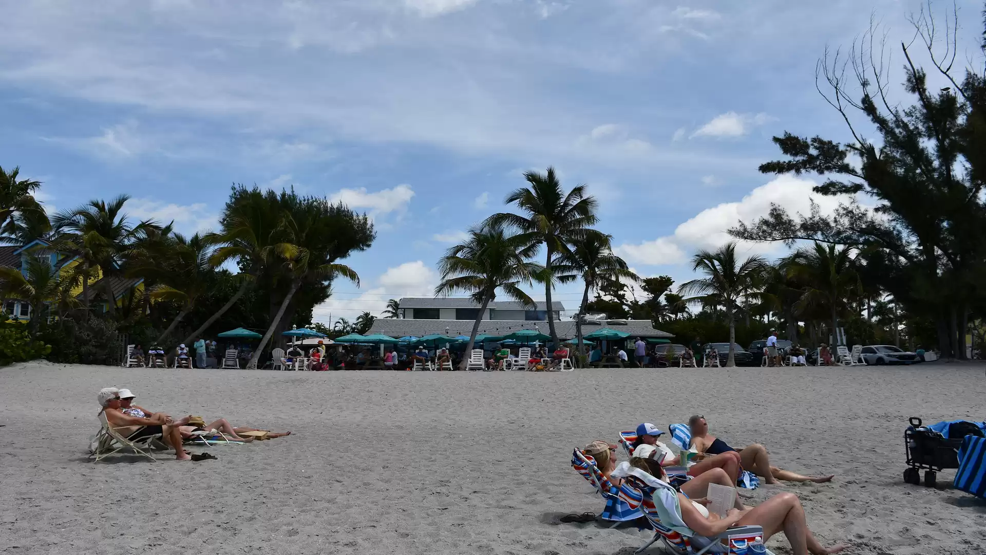 People relaxing on beach loungers under palm trees at a sunny beach with a blue sky.