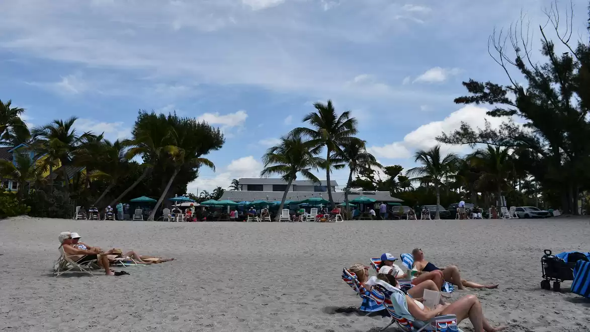 People relaxing on beach loungers under palm trees at a sunny beach with a blue sky.