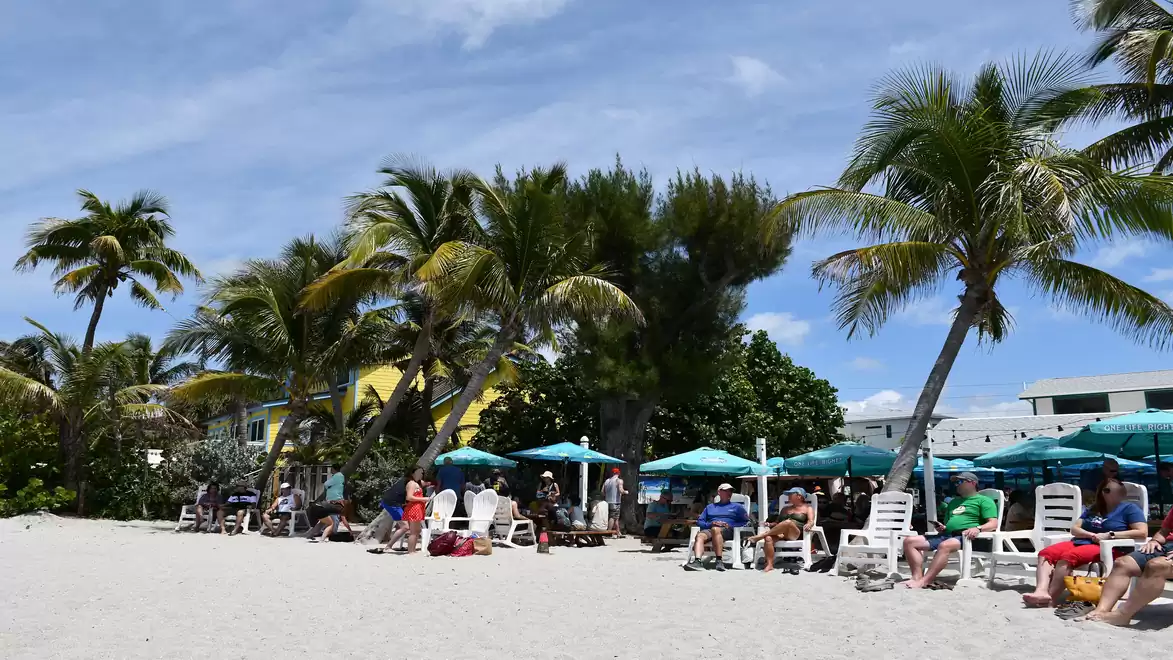 Beach scene with palm trees and people on sun loungers under a bright blue sky.