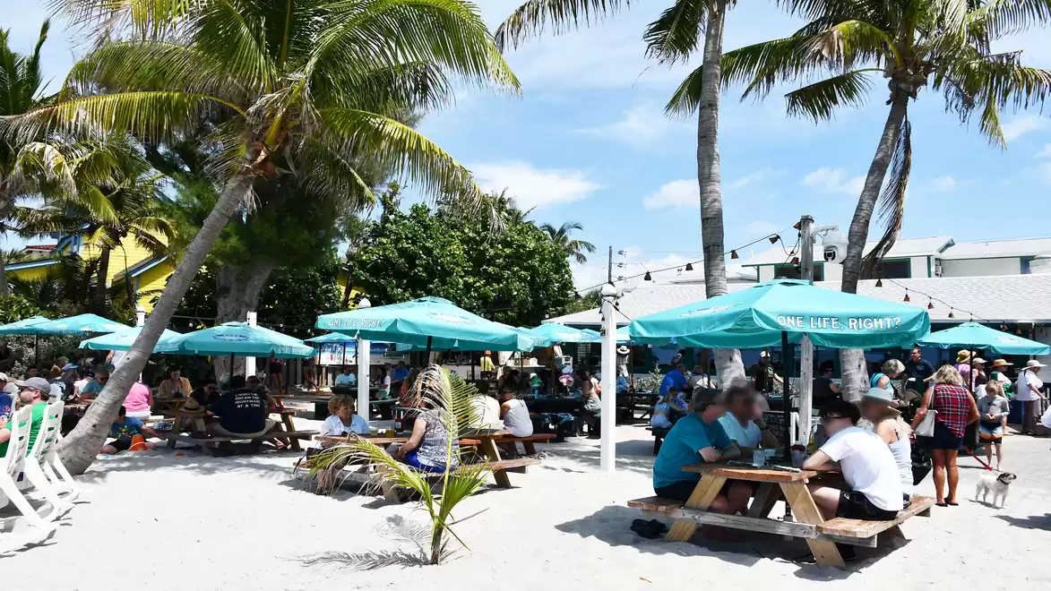 A busy beach area with palm trees and people sitting at picnic tables under blue umbrellas.