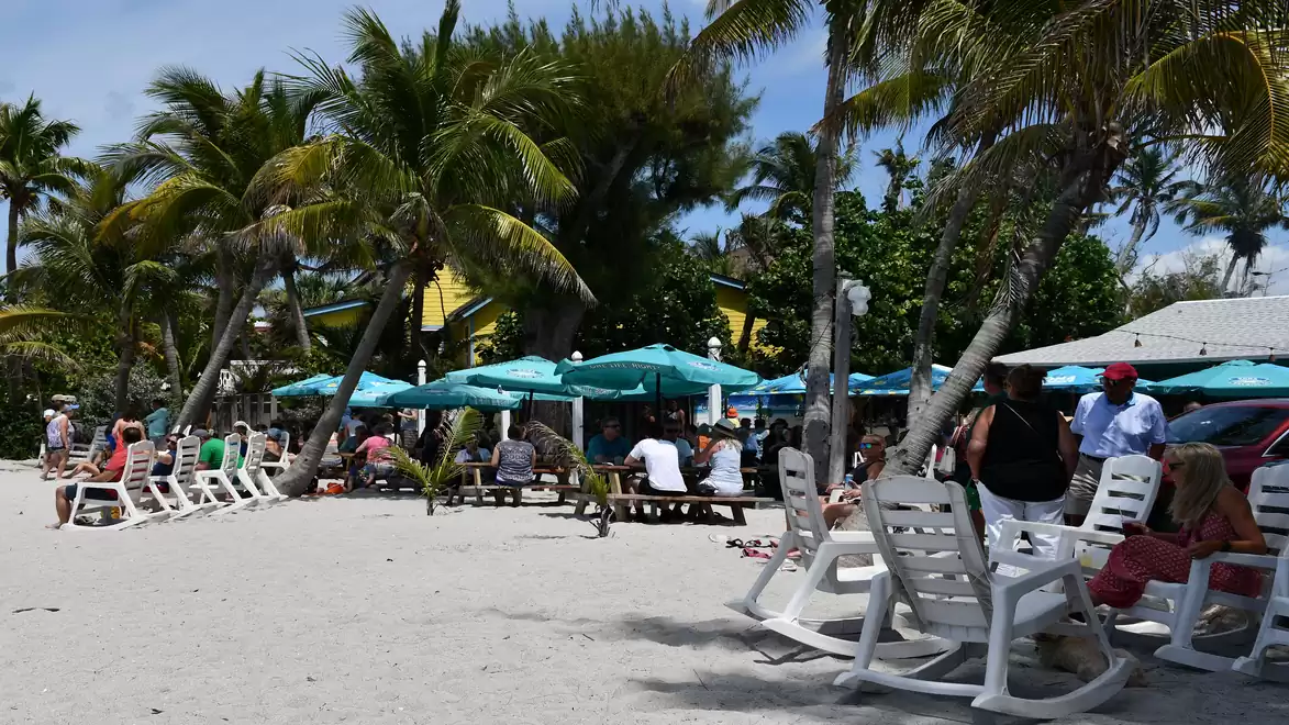 A busy beach with palm trees, people in lounge chairs, and blue umbrellas. Buildings and lush vegetation are in the background.
