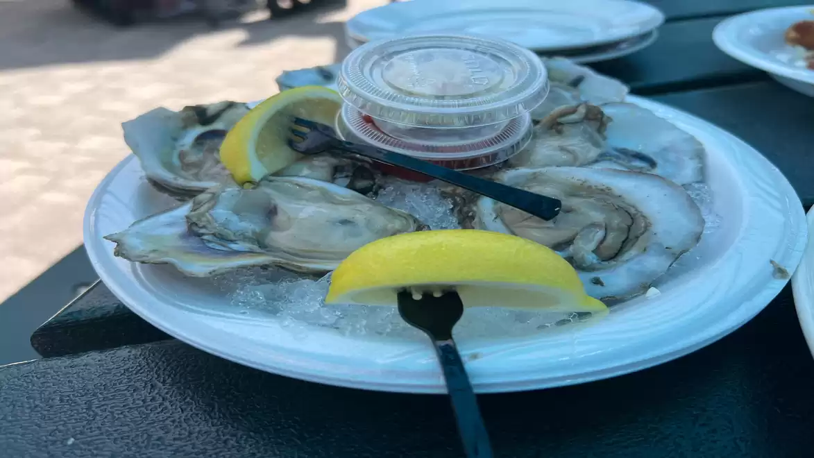 Fresh oysters served on ice with lemon wedges and a sauce in a plastic container on an outdoor table.