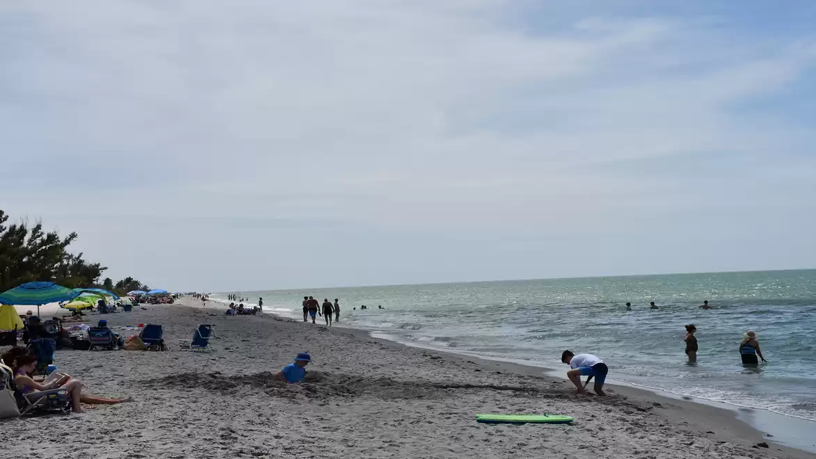 People relaxing and playing on a sunny sandy beach with gentle waves.