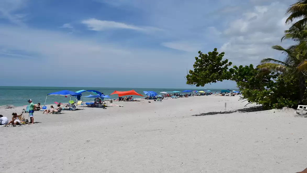 A sunny beach with people relaxing under blue and orange umbrellas. Palm trees are in the background, with a clear blue sky.